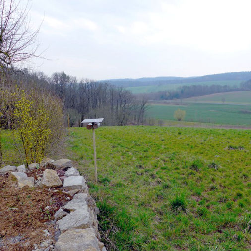 Landschaftsvernetzung